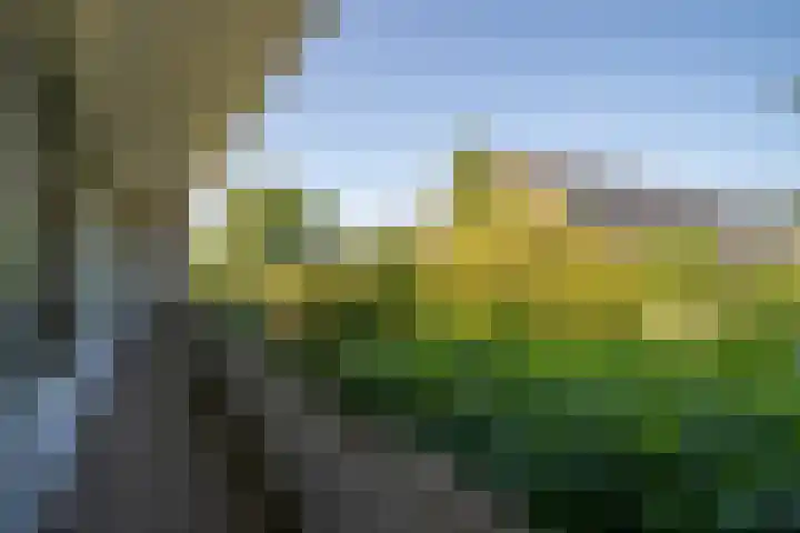 Rekkenbrink 89 Enschede thumbnail 29