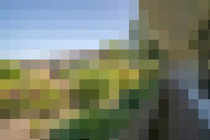 Rekkenbrink 89 Enschede thumbnail 30