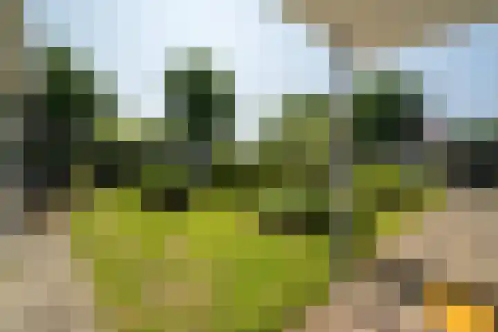 Rekkenbrink 89 Enschede thumbnail 33