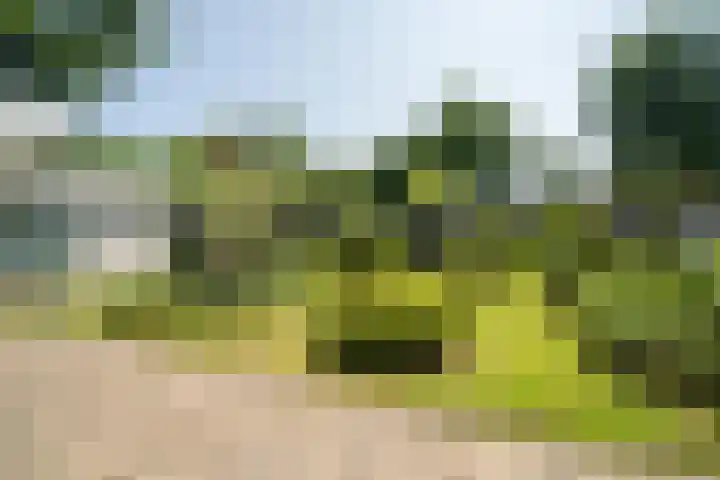 Rekkenbrink 89 Enschede thumbnail 35