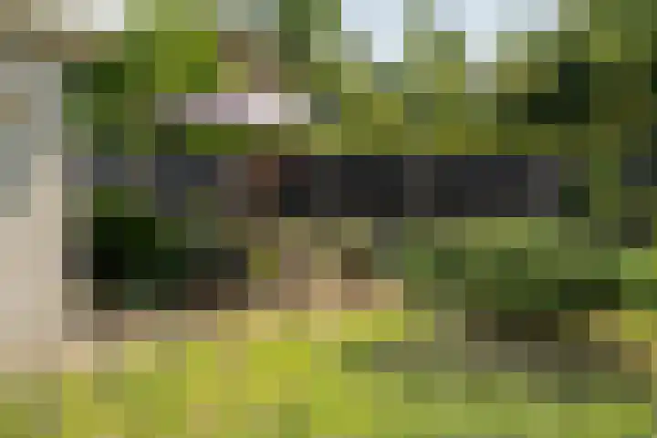 Rekkenbrink 89 Enschede thumbnail 36