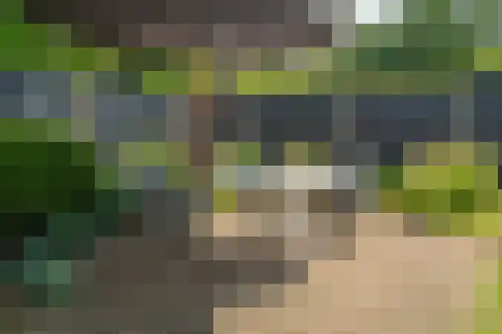 Rekkenbrink 89 Enschede thumbnail 37