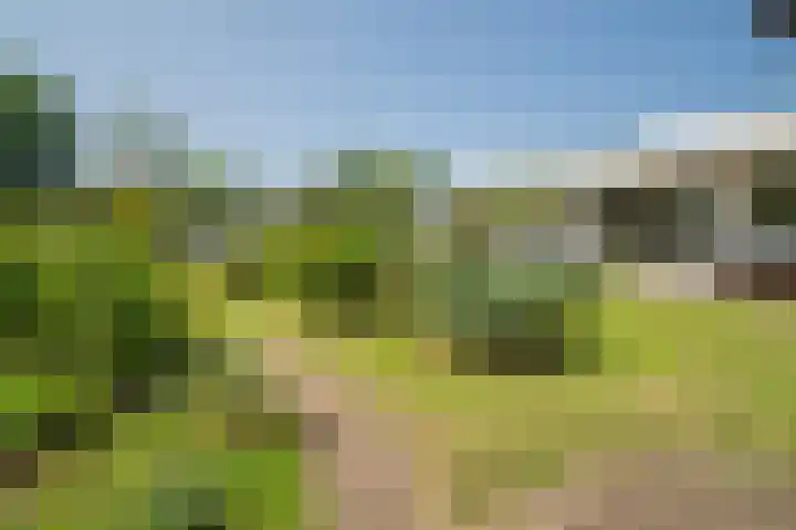 Rekkenbrink 89 Enschede thumbnail 38