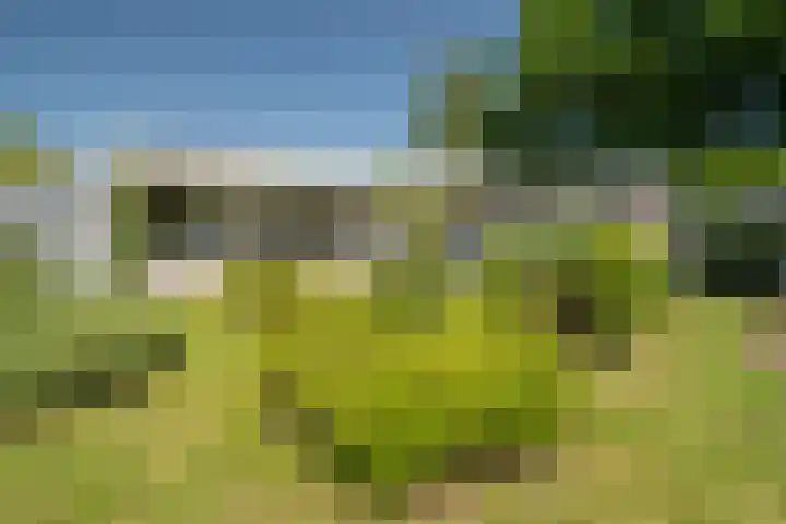 Rekkenbrink 89 Enschede thumbnail 39