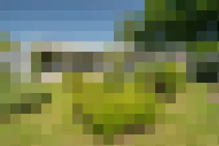 Rekkenbrink 89 Enschede thumbnail 4