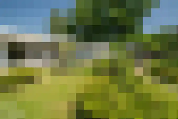 Rekkenbrink 89 Enschede thumbnail 40