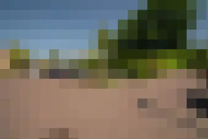 Rekkenbrink 89 Enschede thumbnail 41