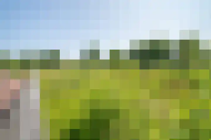 Rekkenbrink 89 Enschede thumbnail 43
