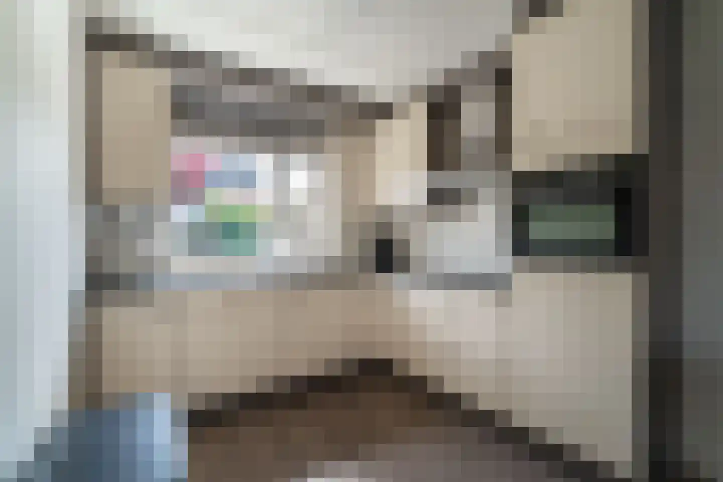 Rekkenveld 3 Tolkamer thumbnail 19