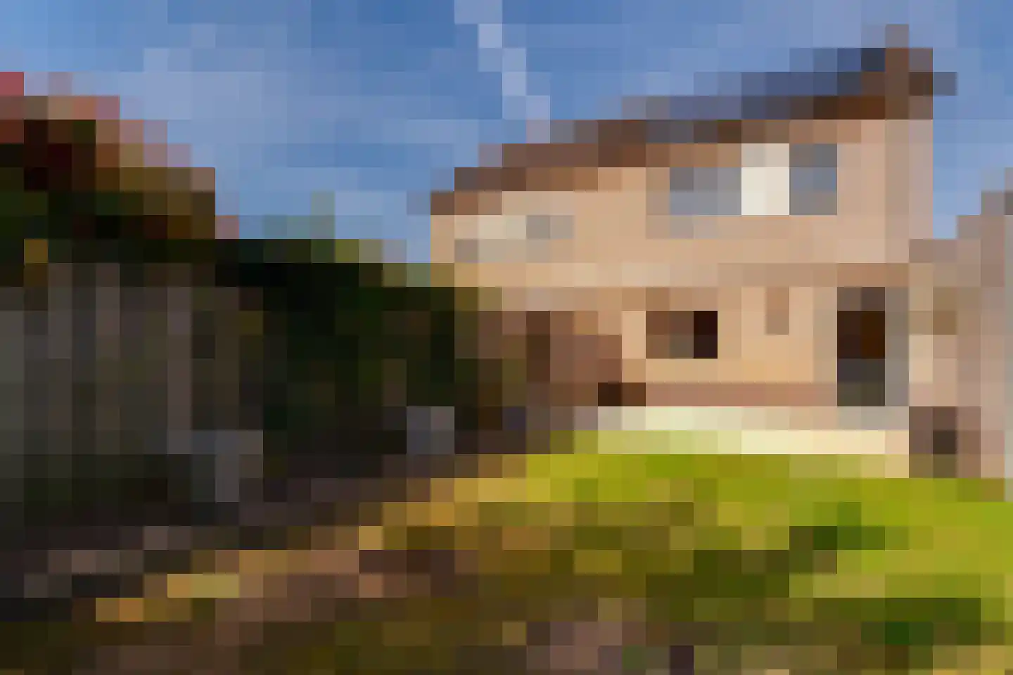 Rekkenveld 3 Tolkamer thumbnail 38