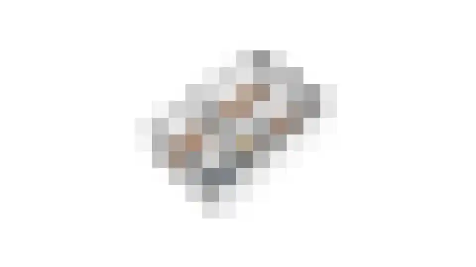Rekkenveld 3 Tolkamer thumbnail 44