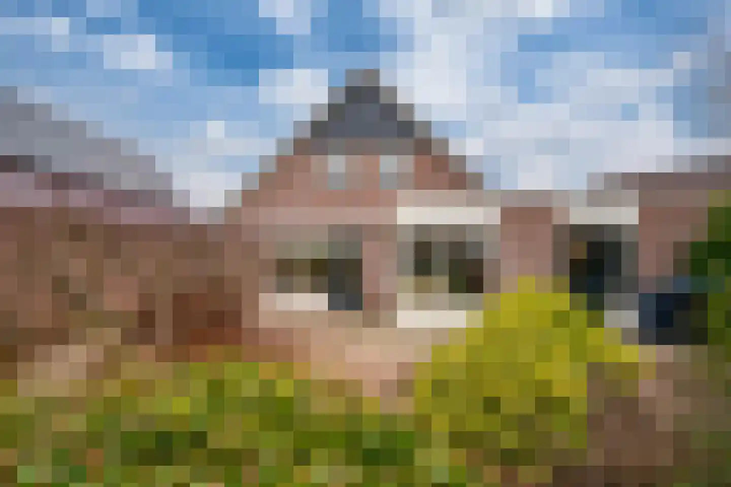 Rekkenveld 34 Tolkamer foto 2