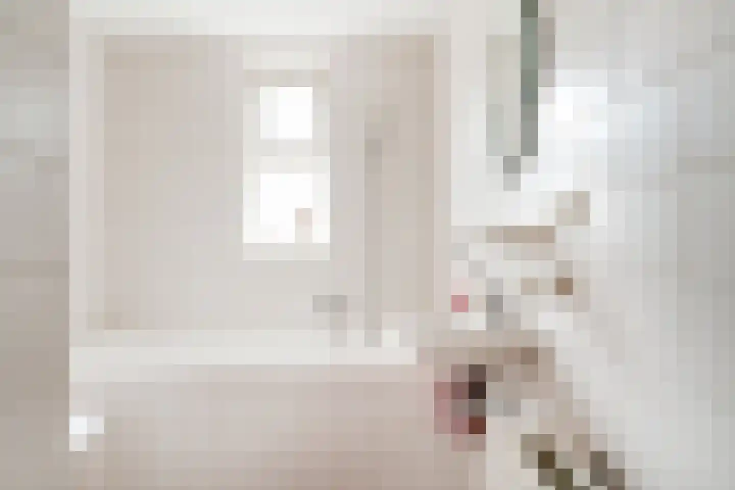 Rekkenveld 34 Tolkamer thumbnail 26