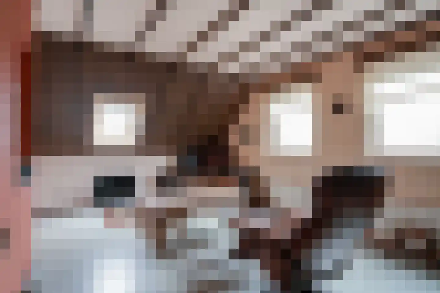 Rekkenveld 34 Tolkamer thumbnail 52