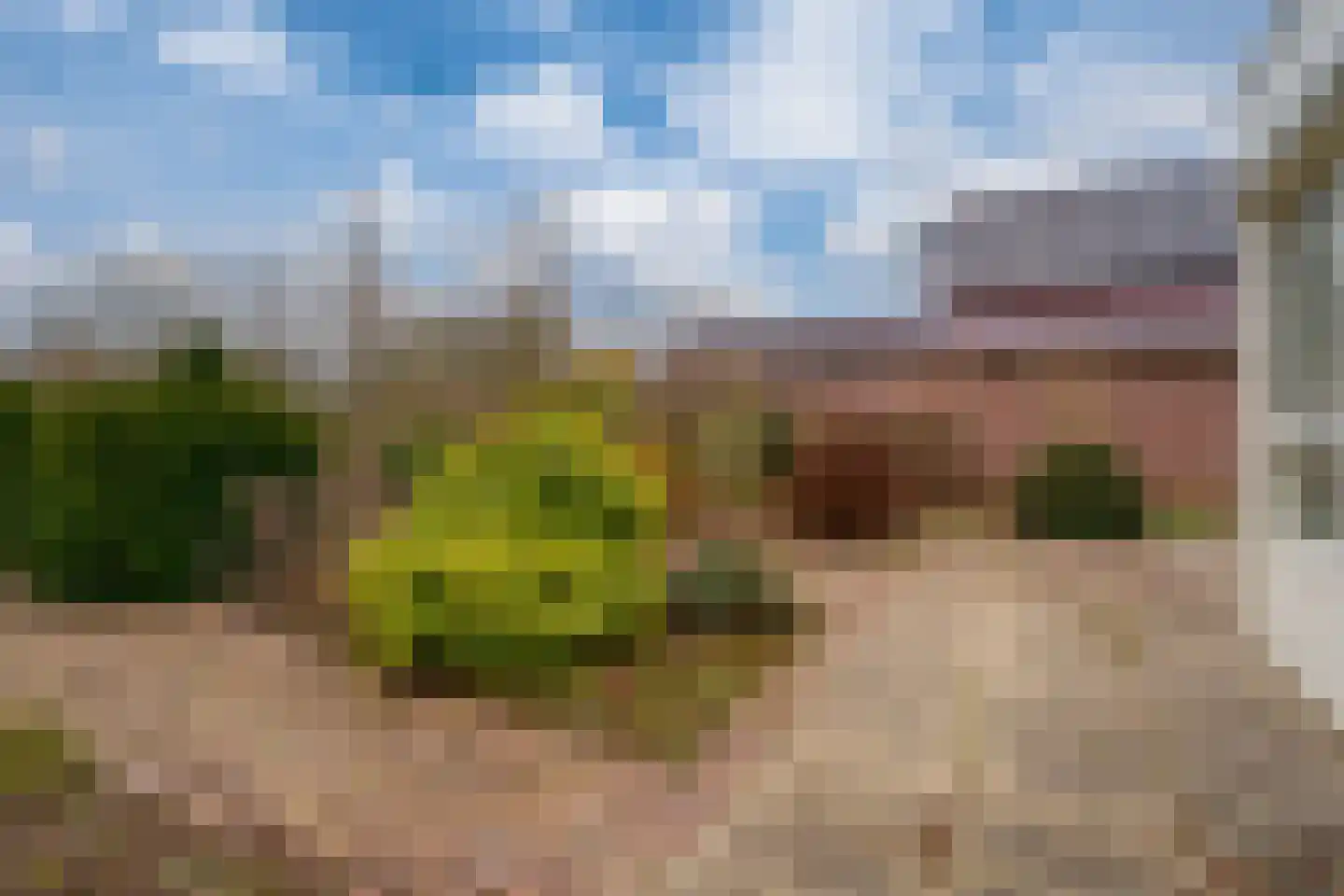 Rekkenveld 34 Tolkamer thumbnail 57