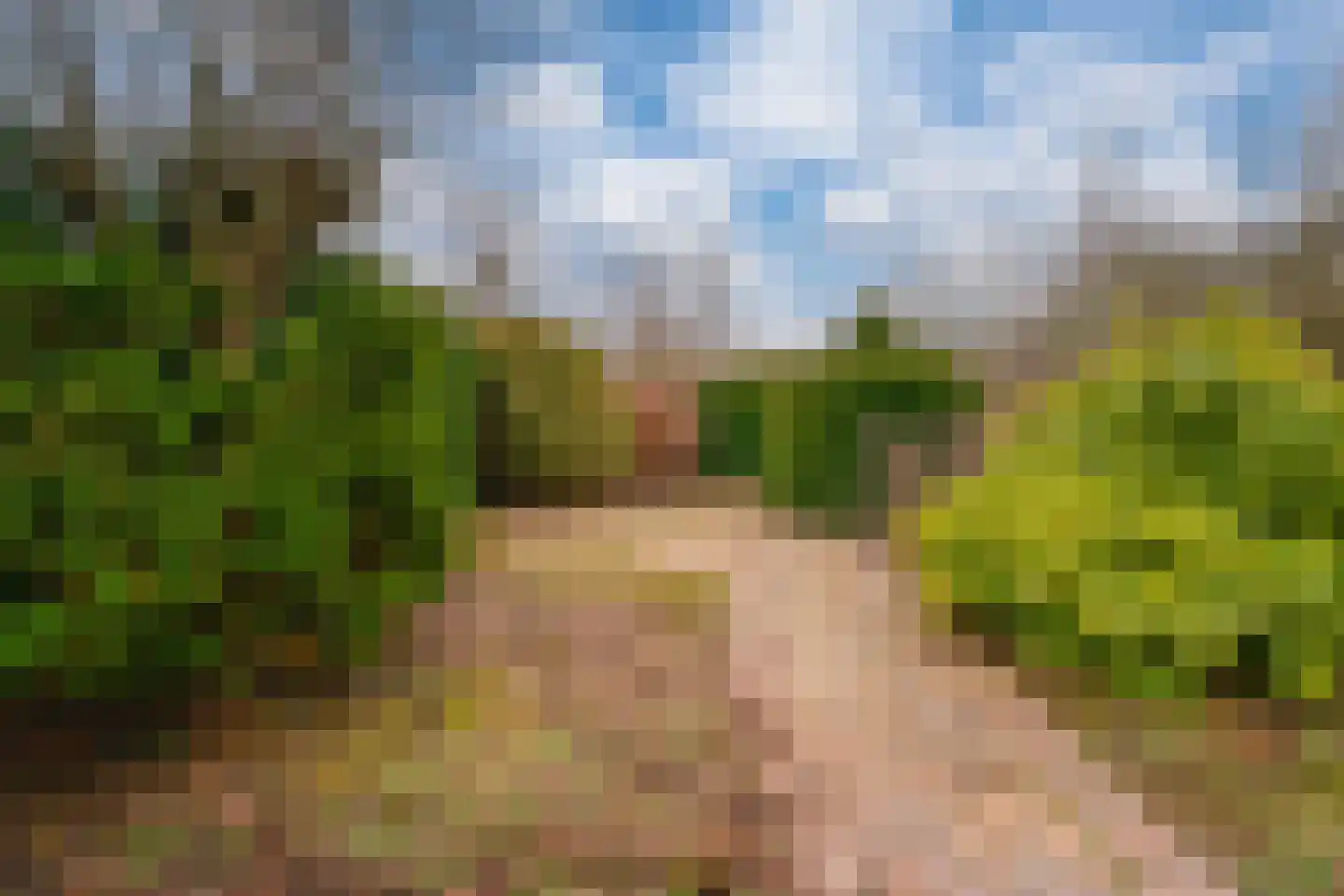 Rekkenveld 34 Tolkamer thumbnail 59