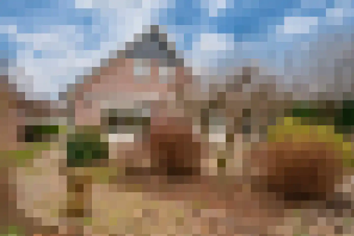 Rekkenveld 34 Tolkamer thumbnail 62
