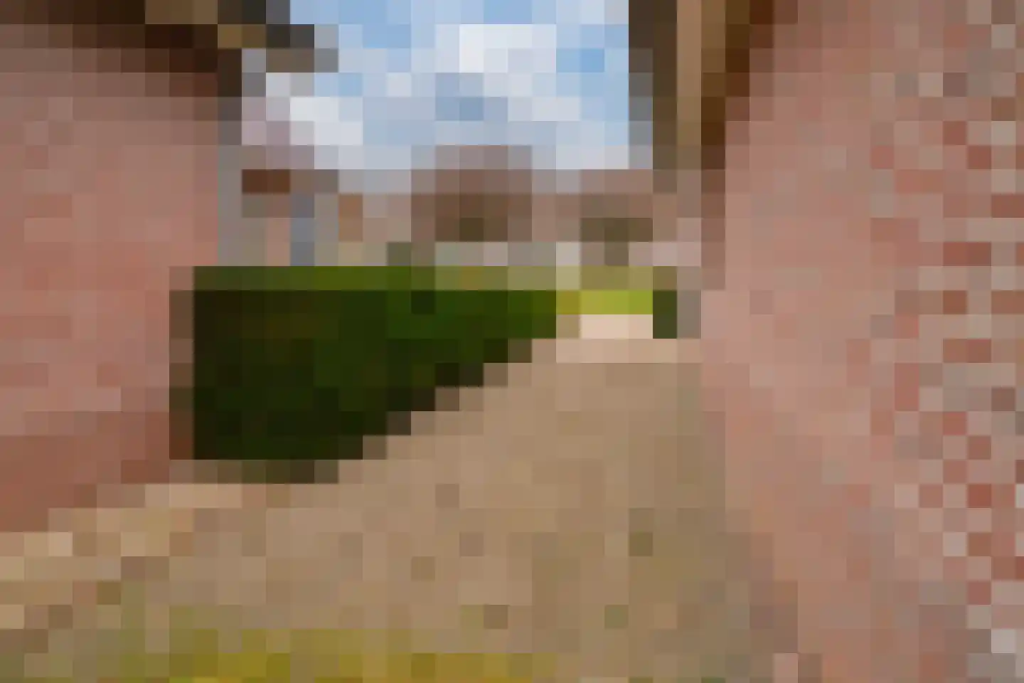 Rekkenveld 34 Tolkamer thumbnail 63