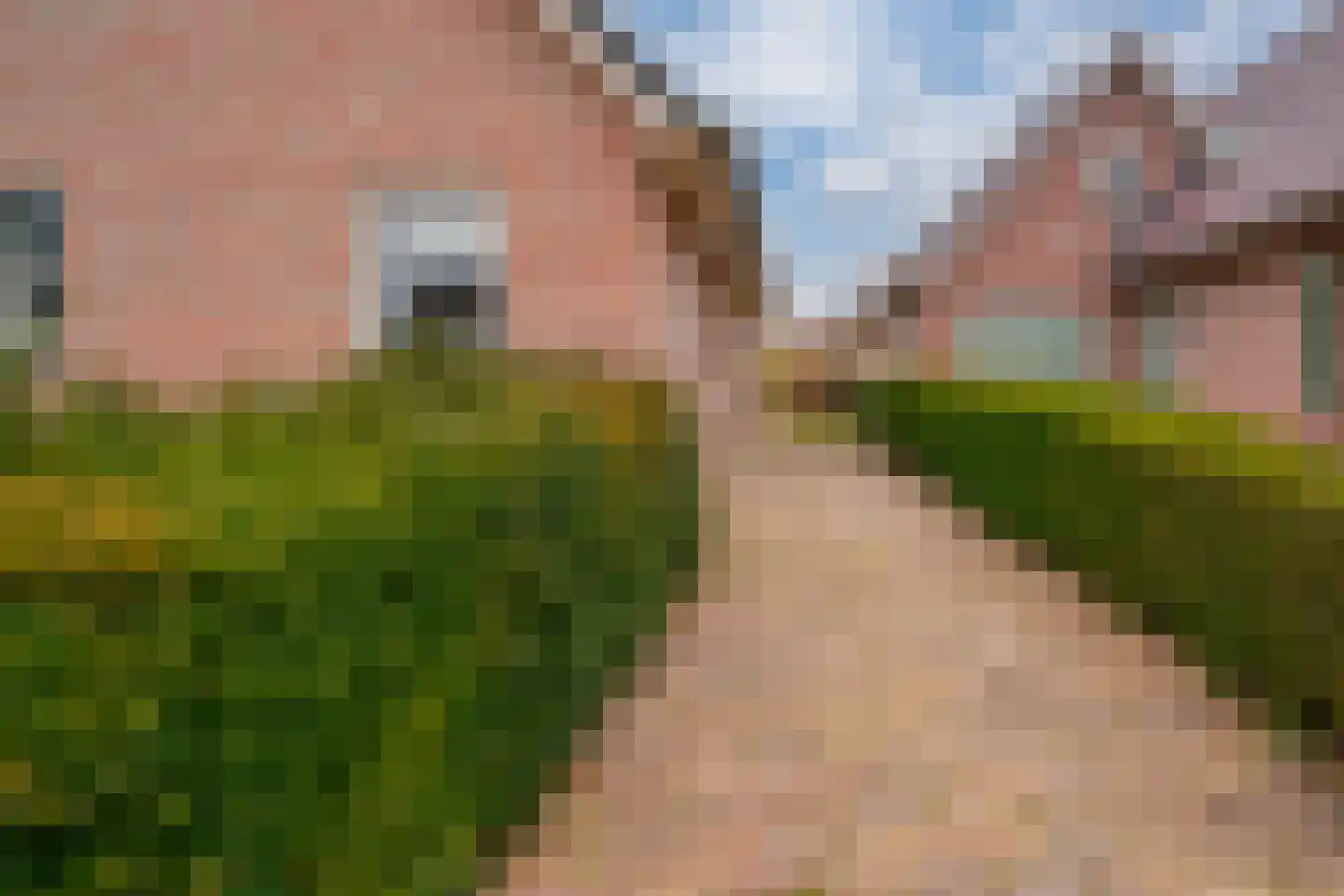 Rekkenveld 34 Tolkamer thumbnail 65