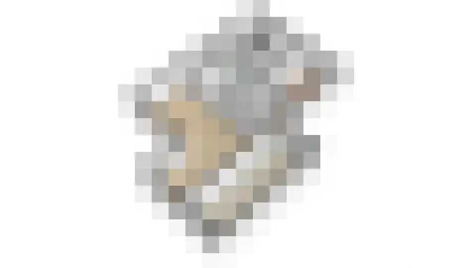 Rekkenveld 34 Tolkamer thumbnail 70