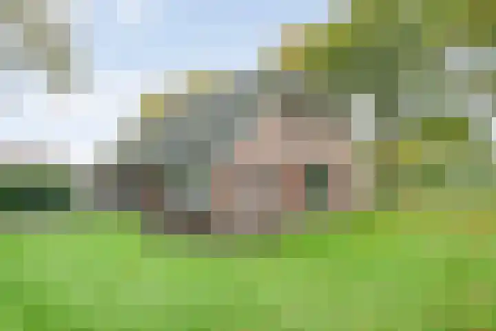 Rekveldweg 6 Dalfsen