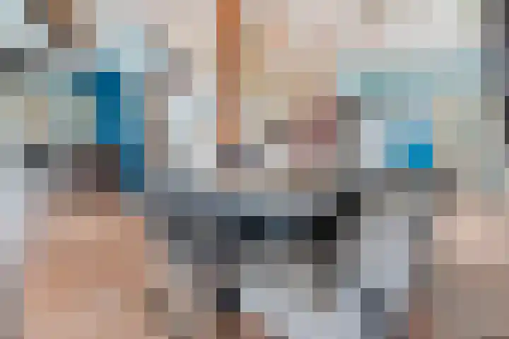 Rekveldweg 6 Dalfsen thumbnail 11