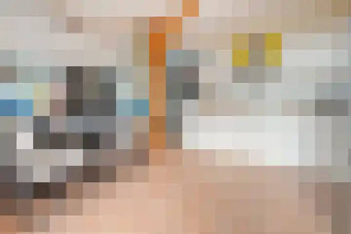 Rekveldweg 6 Dalfsen thumbnail 13