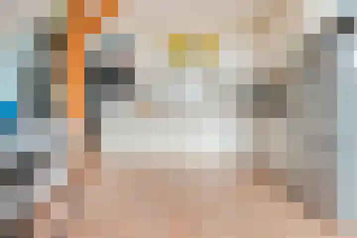 Rekveldweg 6 Dalfsen thumbnail 15