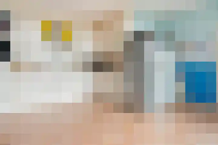 Rekveldweg 6 Dalfsen thumbnail 16