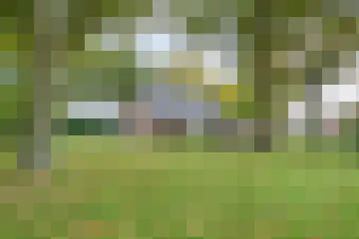 Rekveldweg 6 Dalfsen foto 2