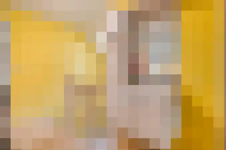 Rekveldweg 6 Dalfsen thumbnail 21