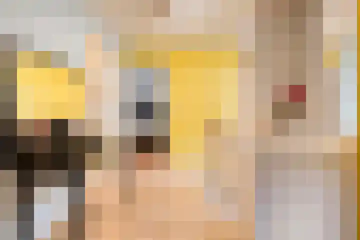 Rekveldweg 6 Dalfsen thumbnail 23