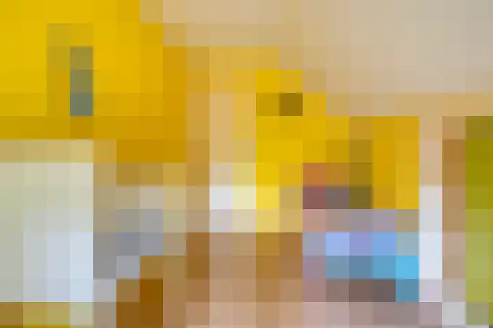Rekveldweg 6 Dalfsen thumbnail 27