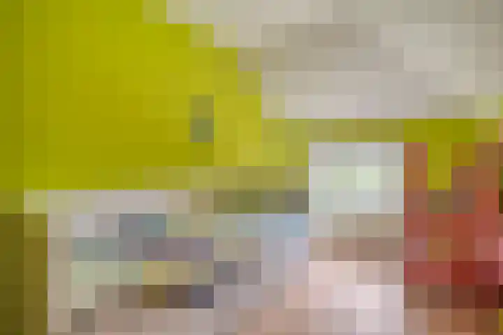 Rekveldweg 6 Dalfsen thumbnail 28