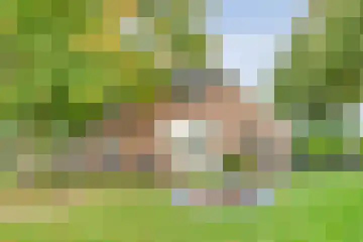 Rekveldweg 6 Dalfsen thumbnail 30