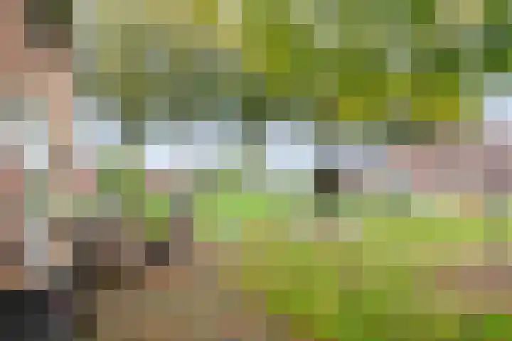 Rekveldweg 6 Dalfsen thumbnail 32