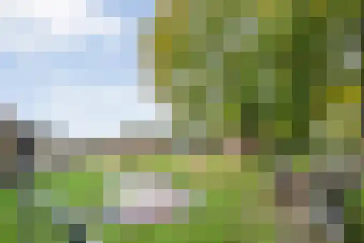 Rekveldweg 6 Dalfsen thumbnail 33
