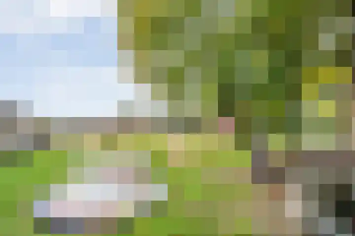 Rekveldweg 6 Dalfsen thumbnail 34