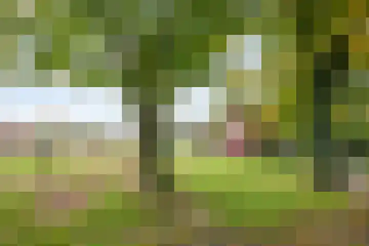 Rekveldweg 6 Dalfsen thumbnail 35