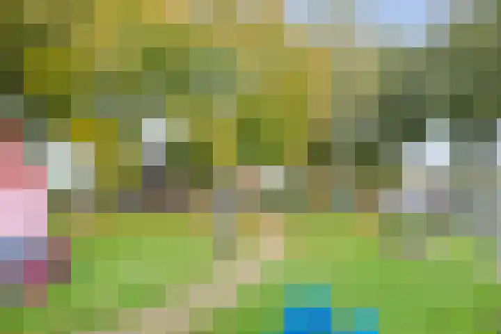 Rekveldweg 6 Dalfsen thumbnail 36