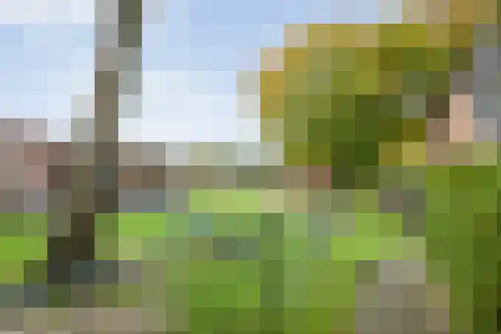 Rekveldweg 6 Dalfsen thumbnail 37