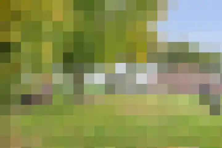 Rekveldweg 6 Dalfsen thumbnail 38