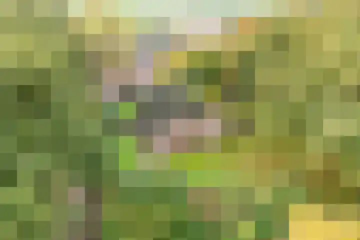 Rekveldweg 6 Dalfsen thumbnail 4