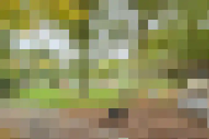 Rekveldweg 6 Dalfsen thumbnail 40