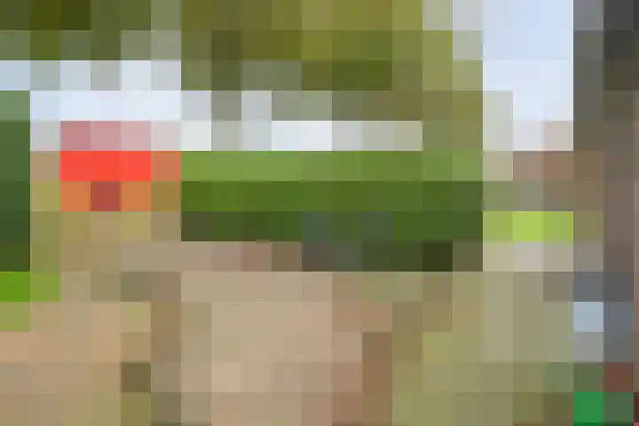 Rekveldweg 6 Dalfsen thumbnail 41