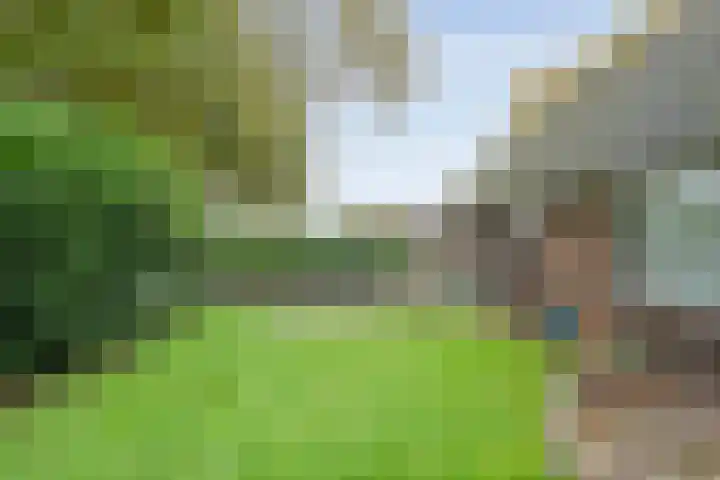 Rekveldweg 6 Dalfsen thumbnail 42