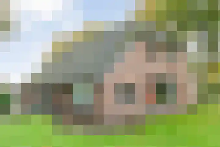 Rekveldweg 6 Dalfsen thumbnail 43