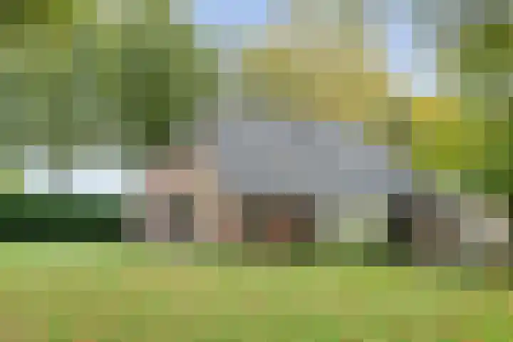 Rekveldweg 6 Dalfsen thumbnail 44