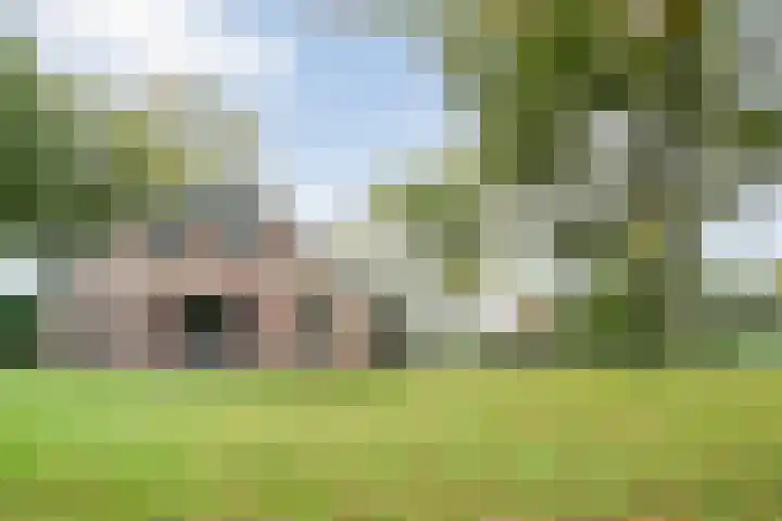 Rekveldweg 6 Dalfsen thumbnail 45