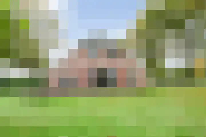 Rekveldweg 6 Dalfsen thumbnail 46